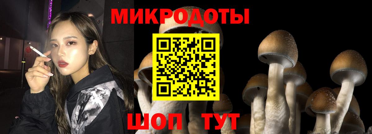 Псилоцибиновые грибы Psilocybine cubensis  Вход с VPN  Псилоцибиновые грибы MAGIC MUSHROOMS  Черногорск 